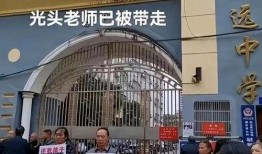 爆料致远中学事件视频播放,真相与争议交织